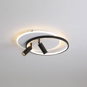 dual spot led ceiling light