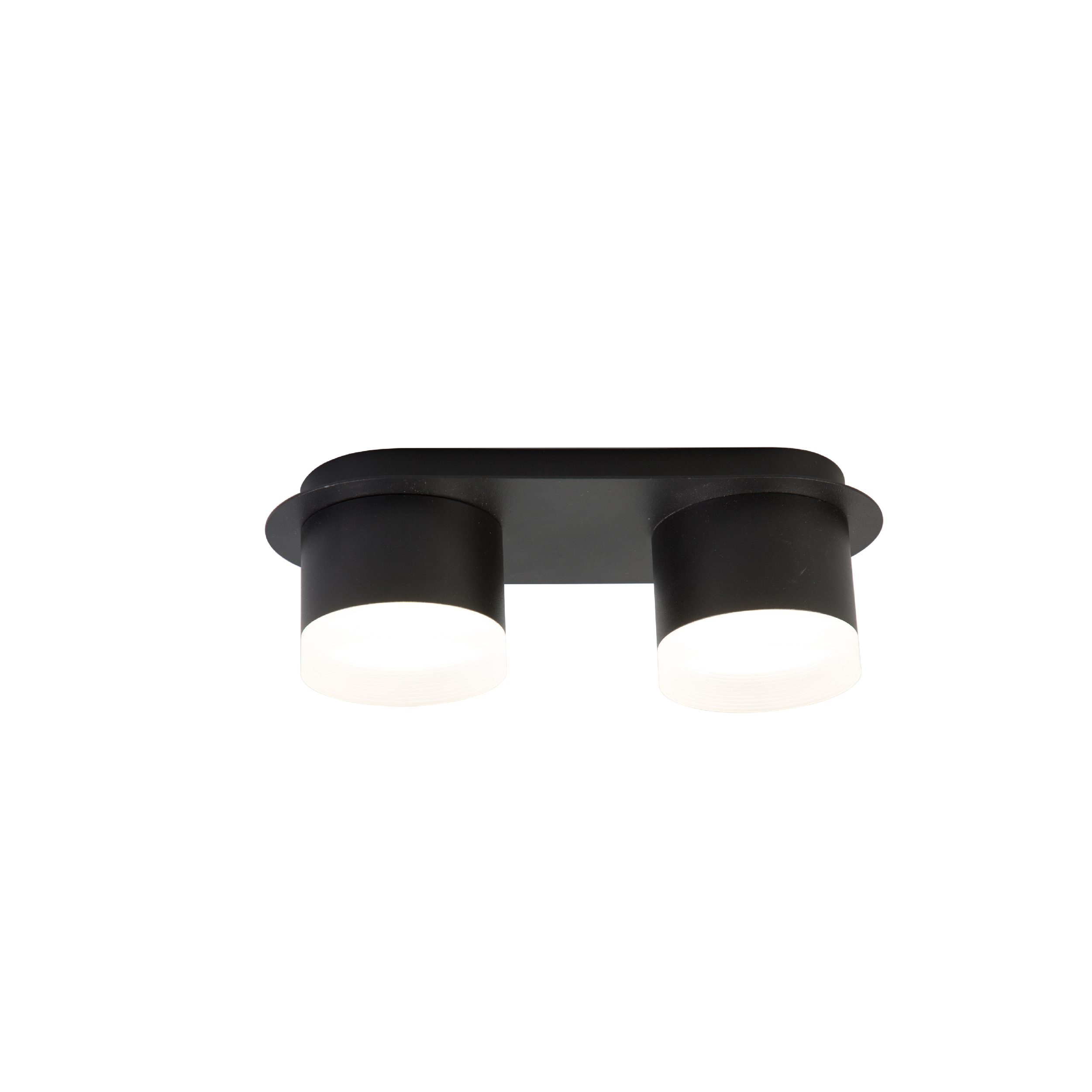 dual head gx53 down light