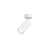 white fixture white ring ceiling spotlight