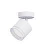 white arcylic gx53 down spot light