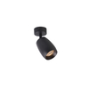 Black ceiling mounted ceiling light