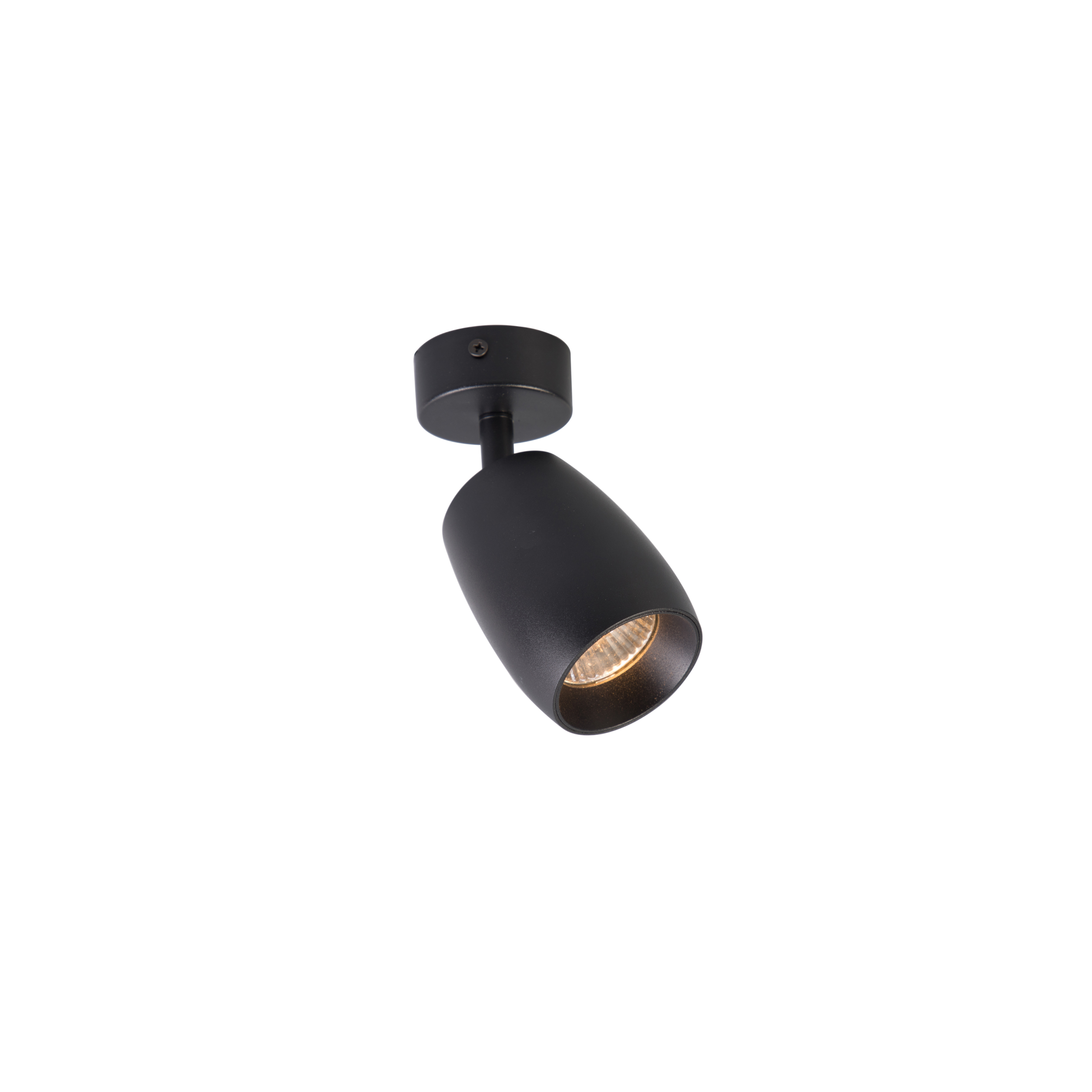 Black ceiling mounted ceiling light