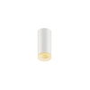 white cylinder ceiling downlight for resort