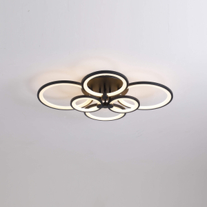 ceiling light features sleek and modern design with a unique circular arrangement of illuminated rings
