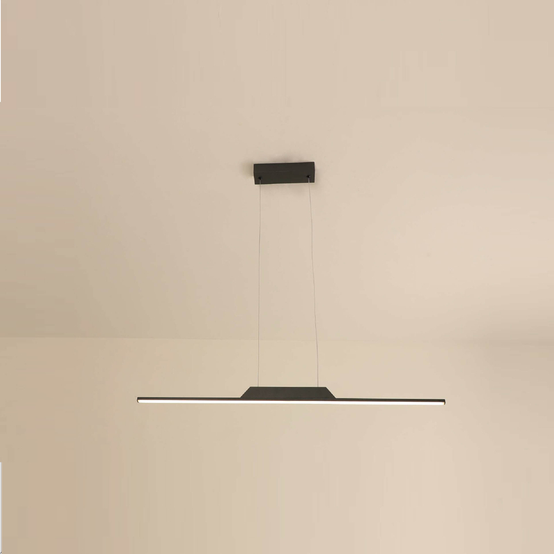 Black led ceiling light