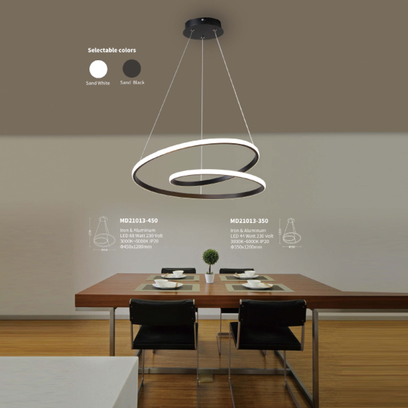 Contemporary LED Ceiling Light in Black and White