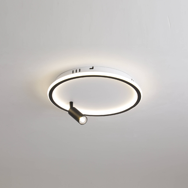 LED spot ceiling light 