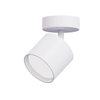 whole white gx53 down light