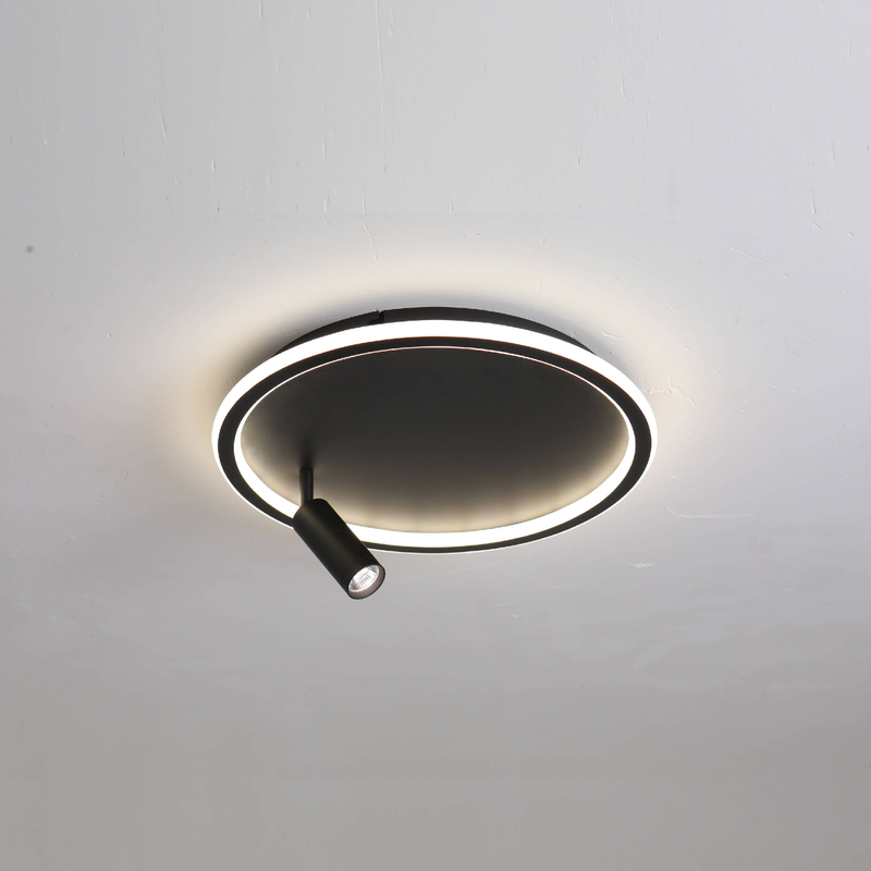 Single And Dual Led Spot LED Ceiling Light