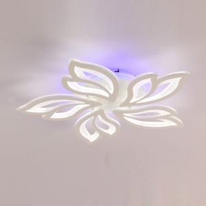 Lights Fresh Petaloid Shape Ceiling LED
