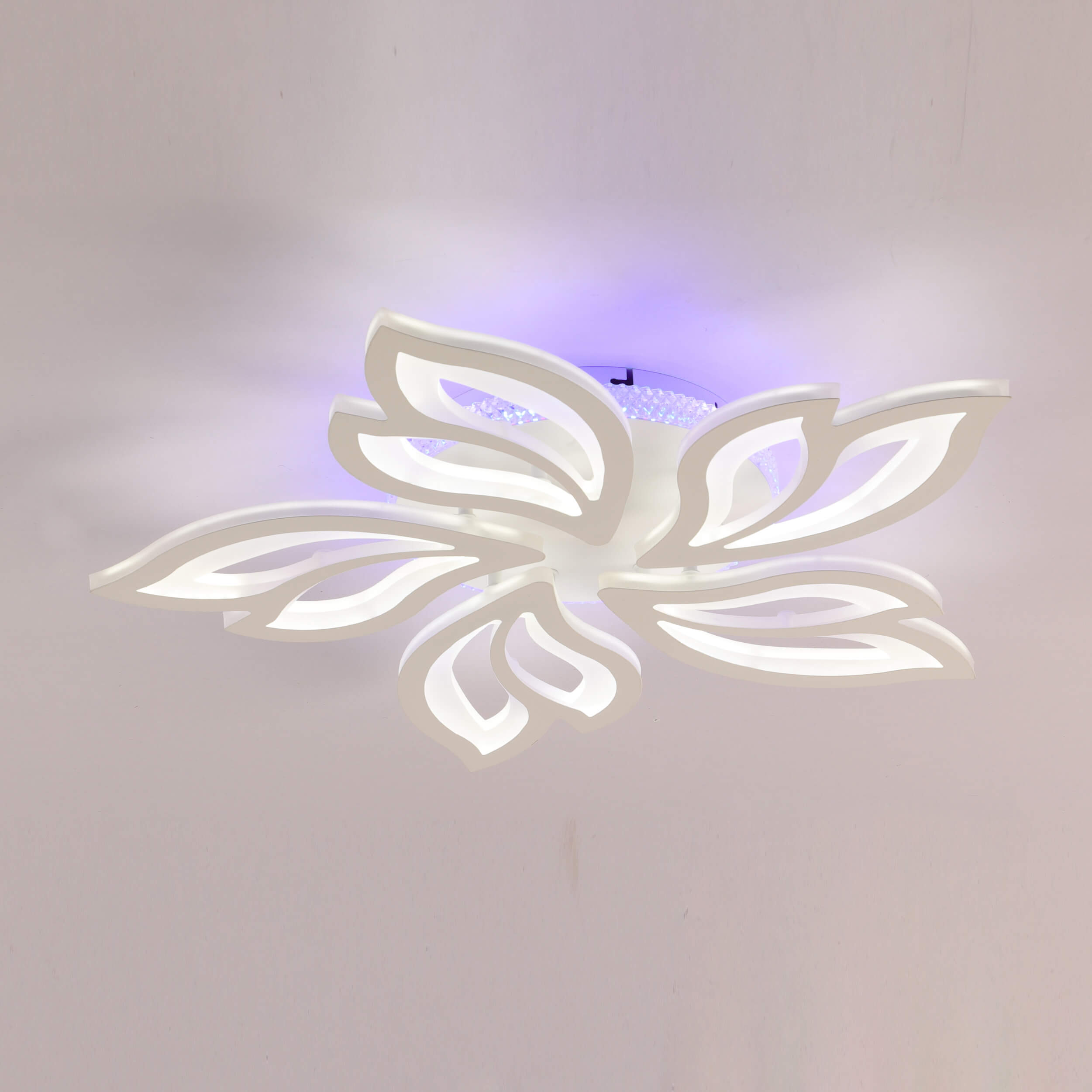 Lights Fresh Petaloid Shape Ceiling LED