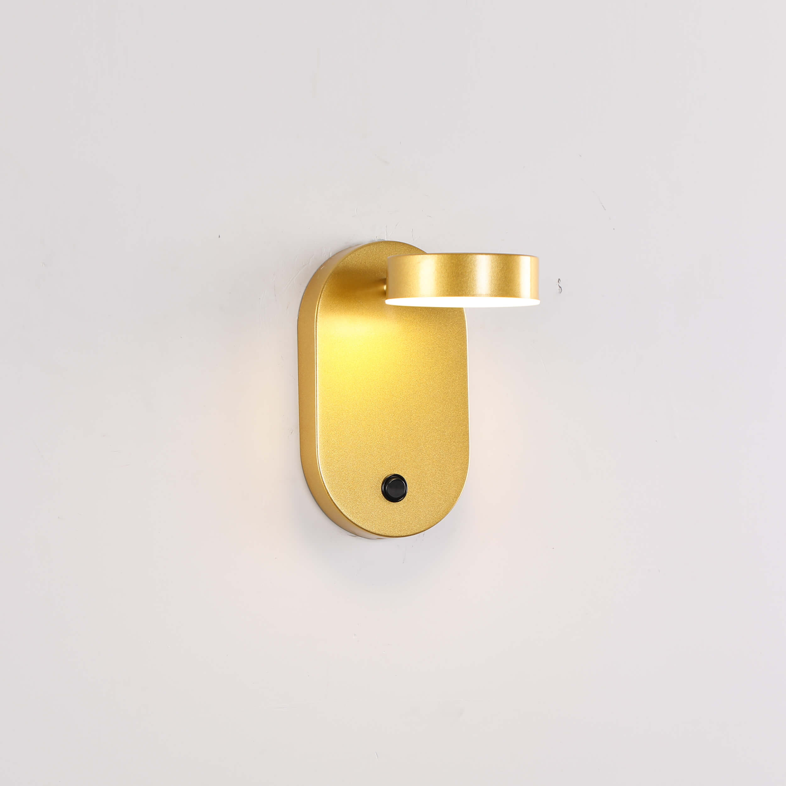 Contemporary LED Wall Lighting Fixture