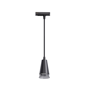 black aluminum track pendant light with PMMA ring