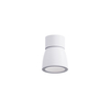 GU10 Ceiling Downlight RL-SMG152A
