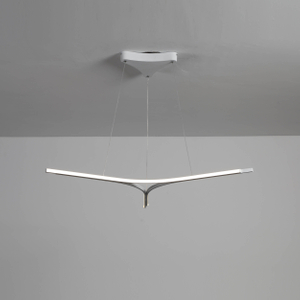 Contemporary LED Pendant Light with Unique Design