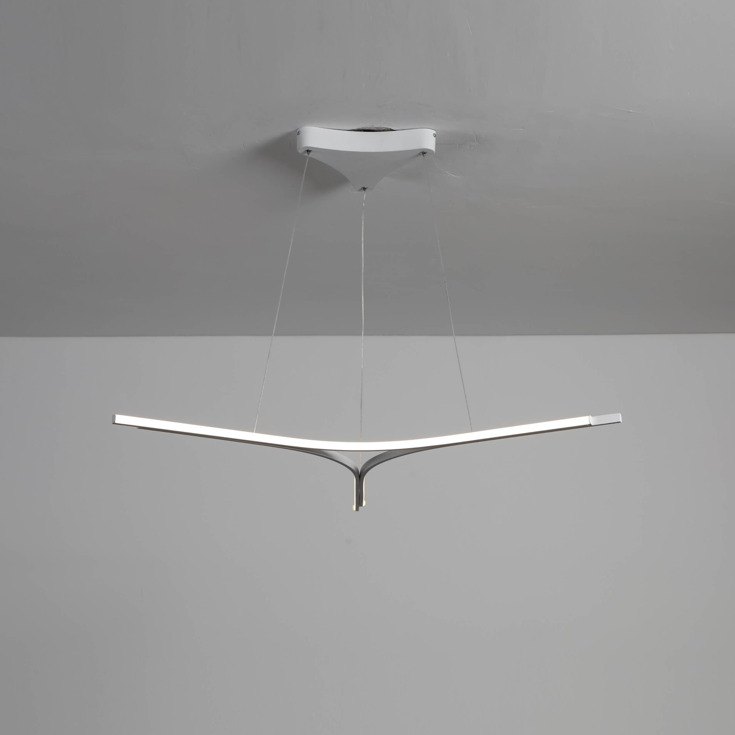 Contemporary LED Pendant Light with Unique Design