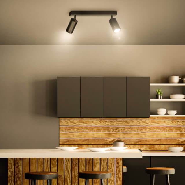 2xGU10 Ceiling Adjustable Spotlights