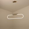 round rings led pendant light