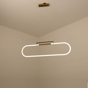 round rings led pendant light