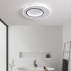 two round LED ceiling light