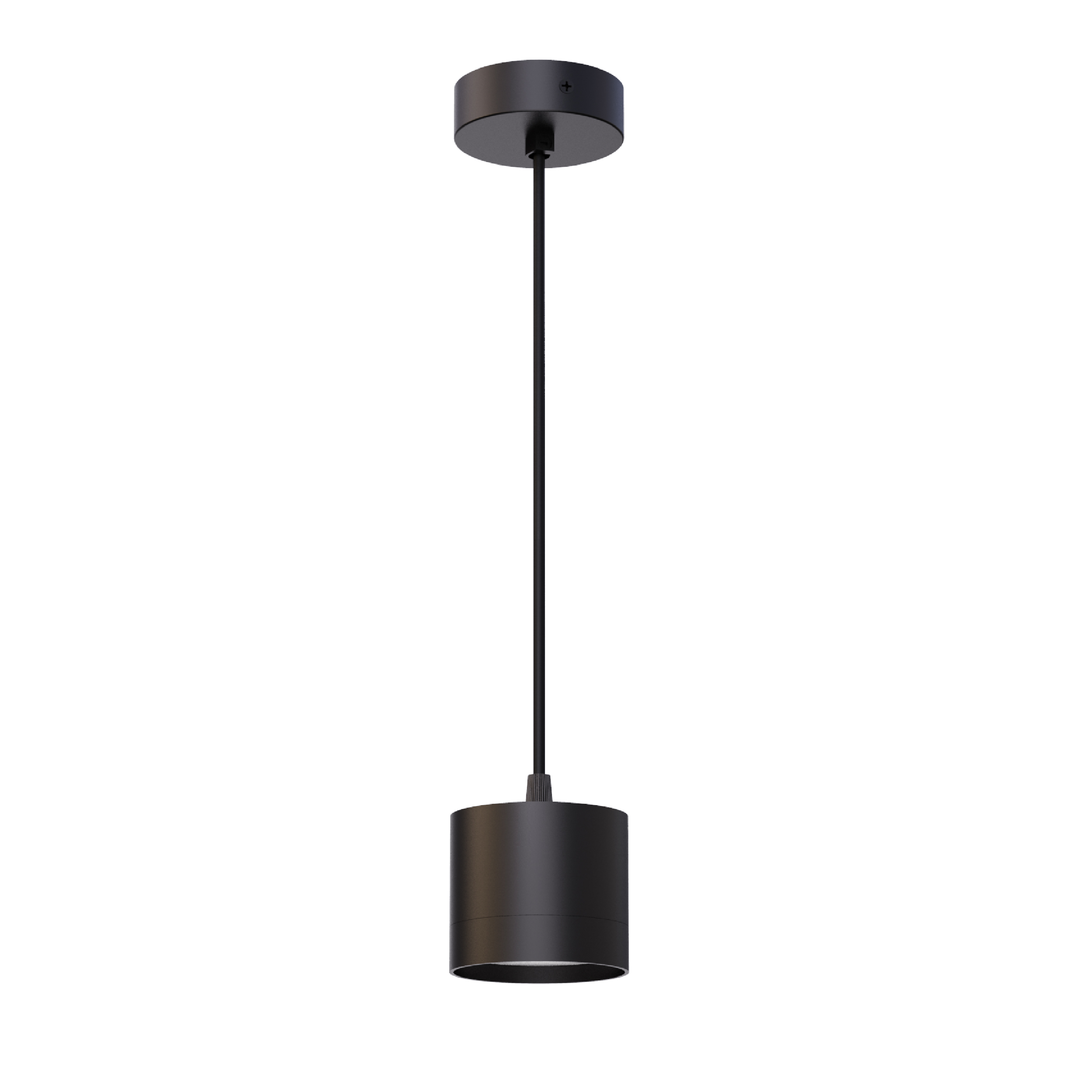 Pendant Luminaire GX53 1x12W Lamp