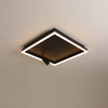 Black body led ceiling light with spot
