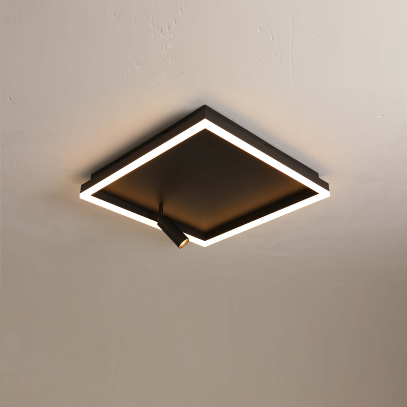 Black body led ceiling light with spot