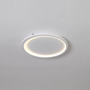 Ultra-thin LED ceiling light
