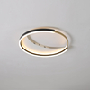 black and glad LED ceiling light