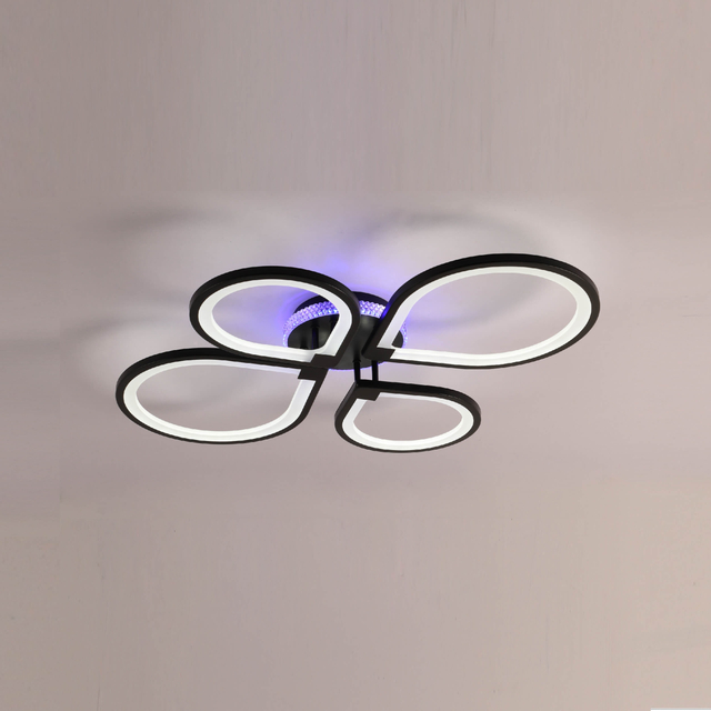 Black round eld ceiling light