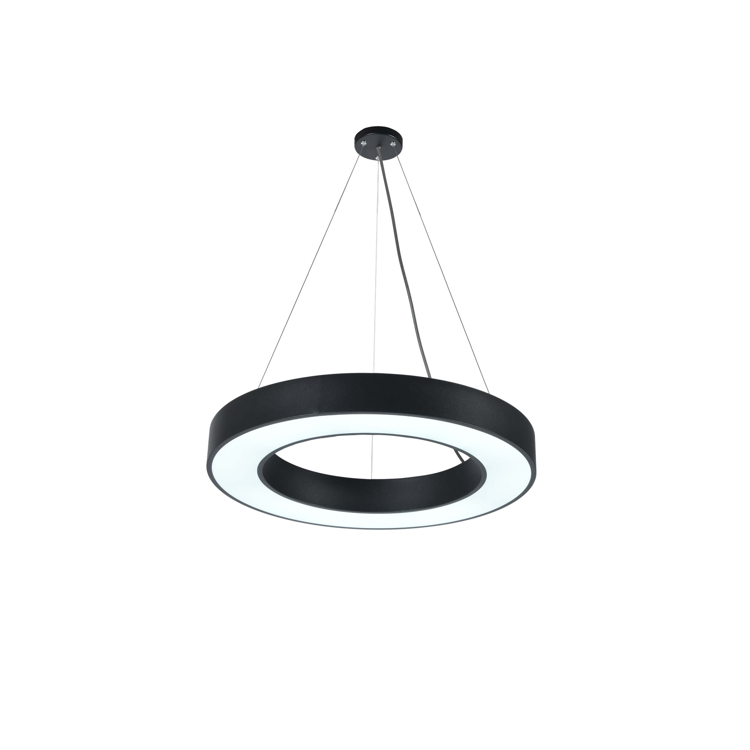 Modern Circular LED Pendant Light