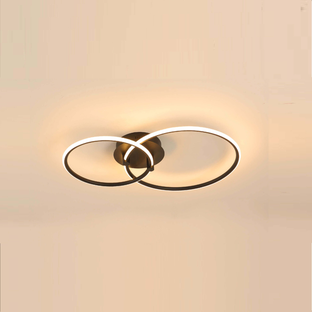 two rings Acrylic LED ceiling light