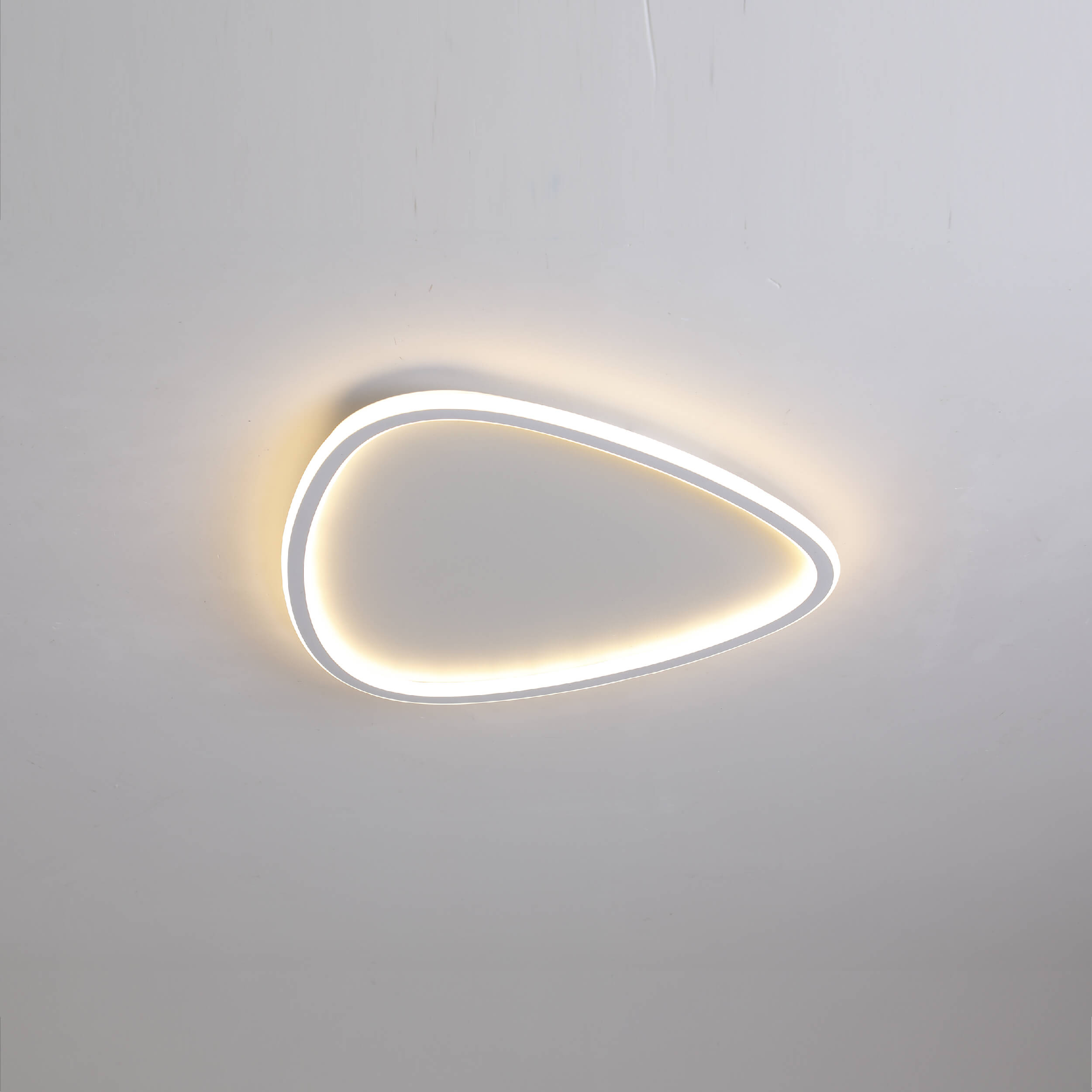 LED ceiling light for living room