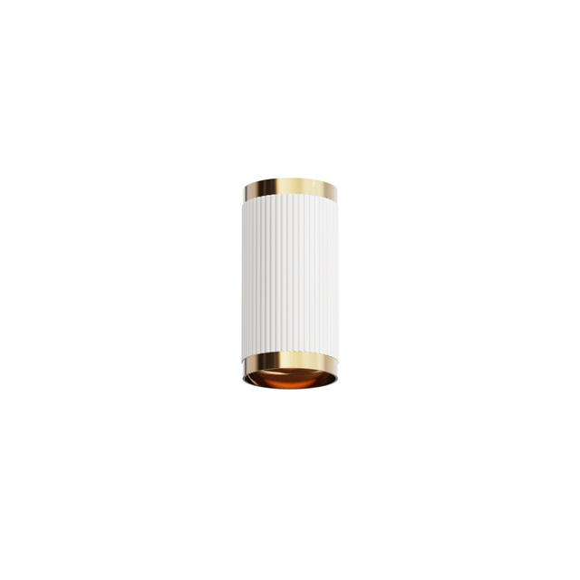 Black Ceiling Spot Light