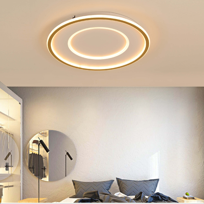 two round led ceiling light