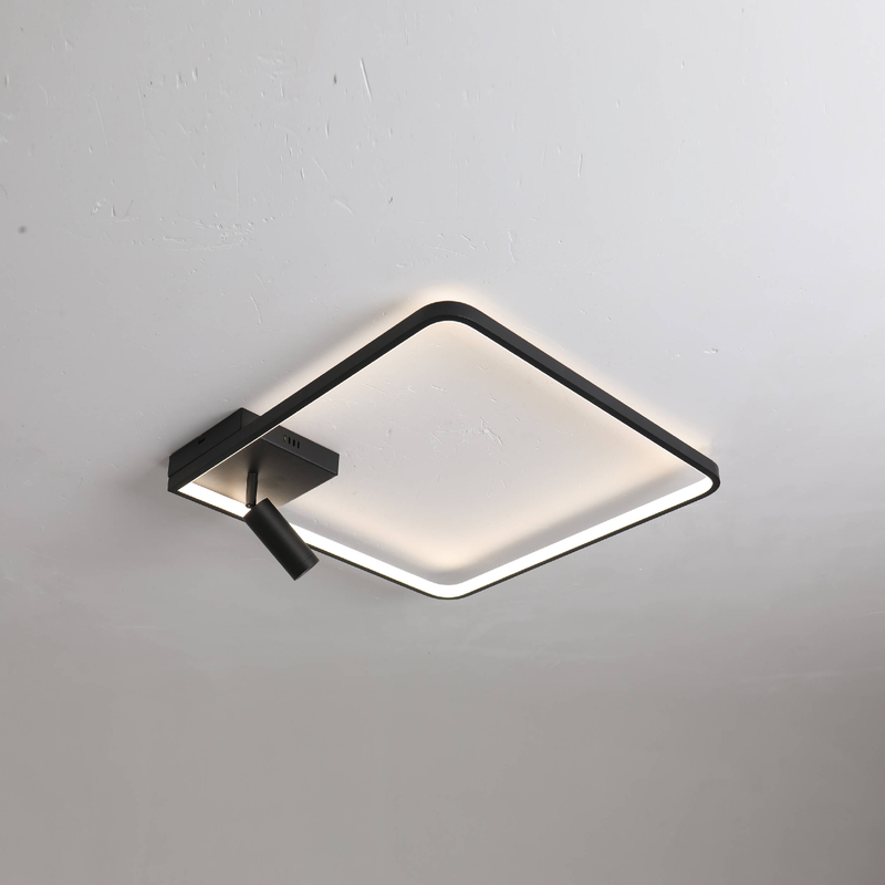 LED ceiling light with single spot