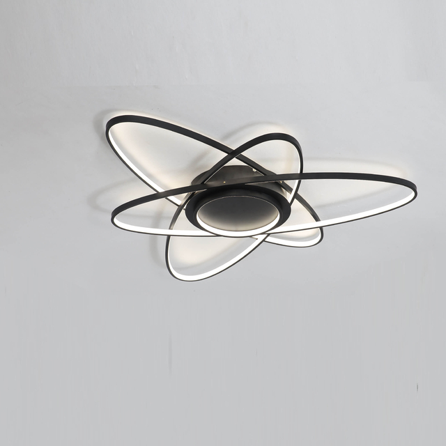 oval rings are like the tracks LED ceiling light