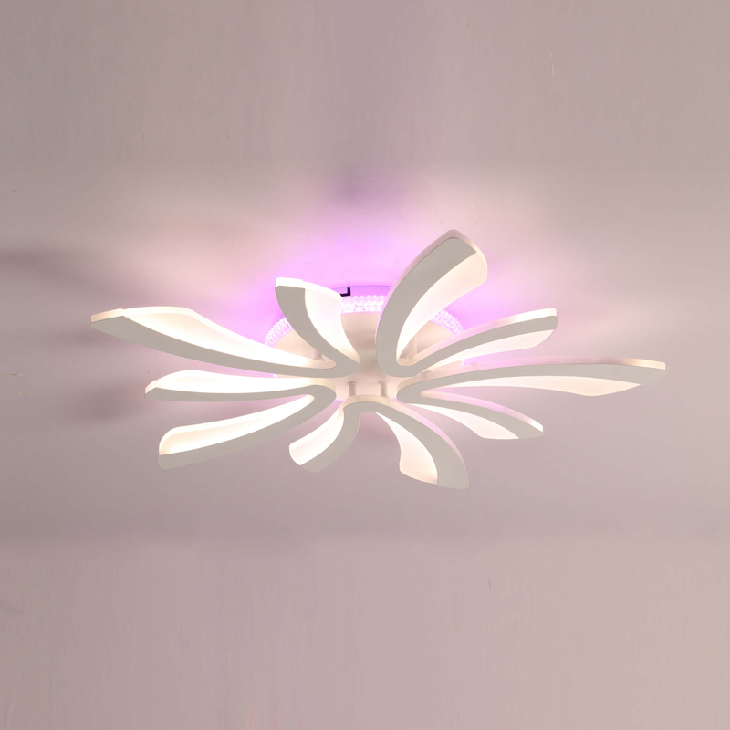 Sleek Geometric Ceiling Fixture with Luminous Floral Accents