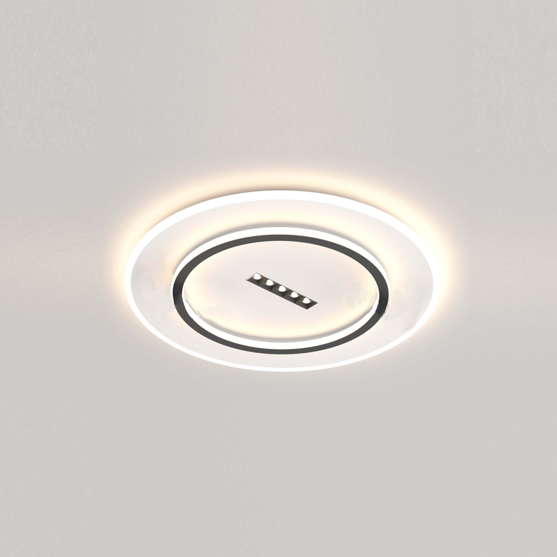 Black and White Ceiling Fixture