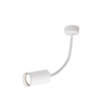 single light head spot light white downlight