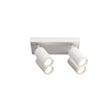 white spot ceiling light