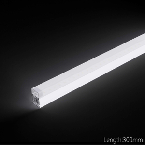 300mm car wash light