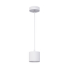 Pendant Luminaire GX53 1x12W Lamp