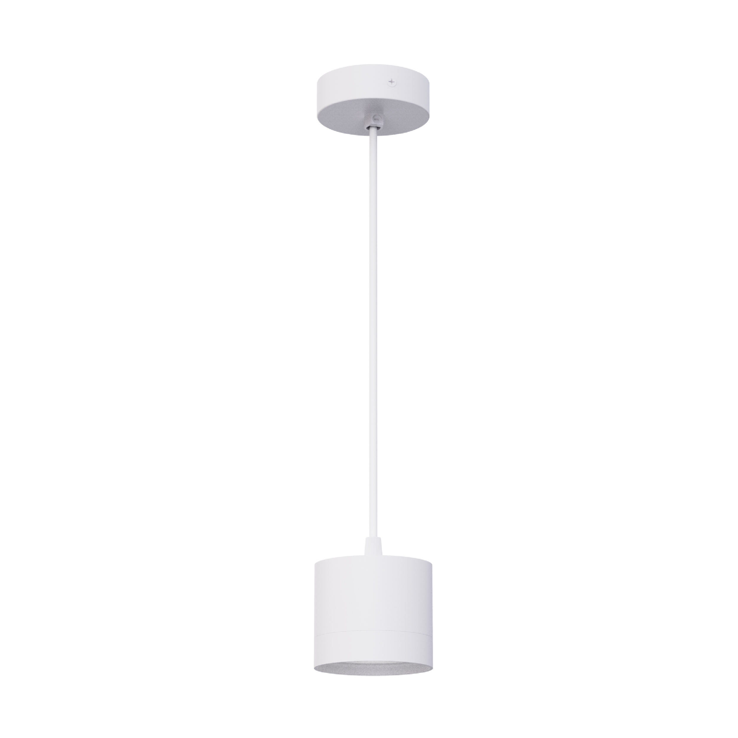 Pendant Luminaire GX53 1x12W Lamp