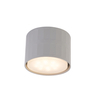 grey gx53 spot down light