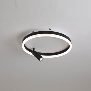 Black and white led ceiling light