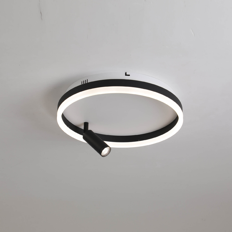 Black and white led ceiling light