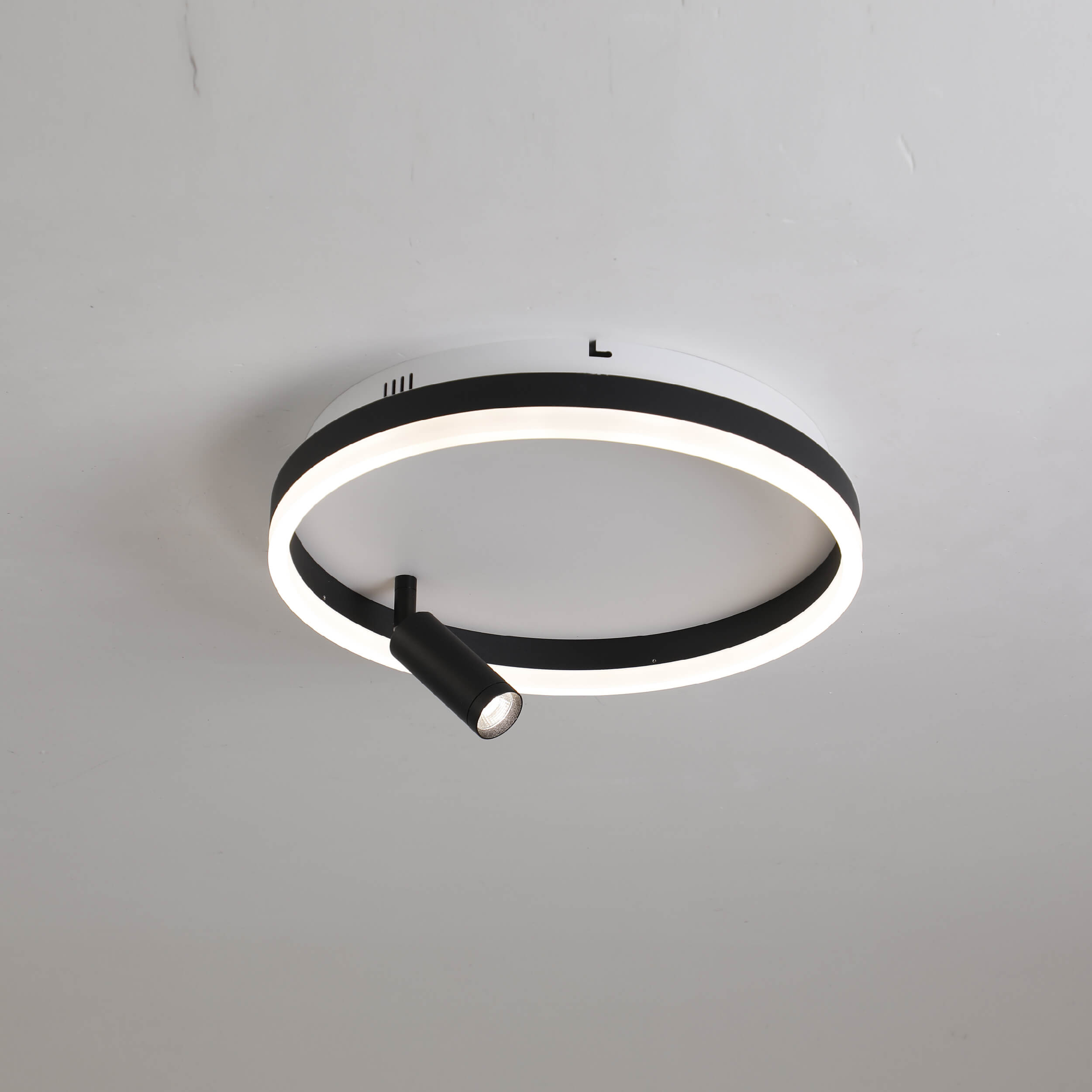 Black and white led ceiling light