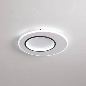 Circle in circle ceiling light