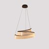 Sculptural Illumination: Layered Pendant Lamp with Organic Silhouette